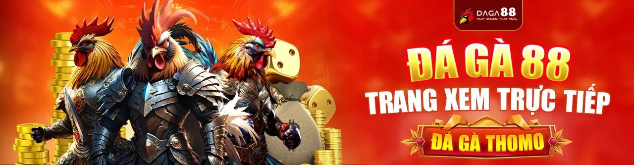 Sân Chọi Gà Trực Tuyến bet6789
